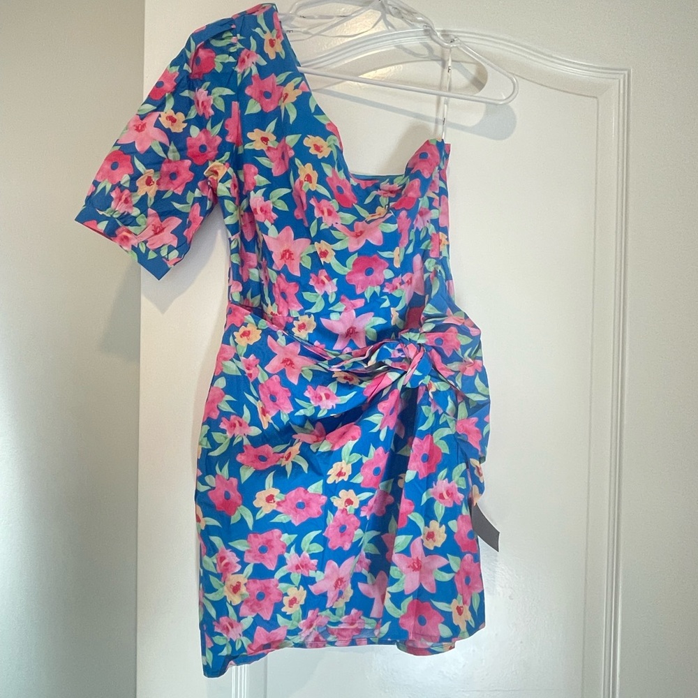 Floral Blue and Pink Women's Dress